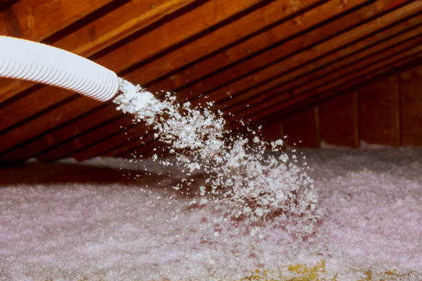 Best Cellulose Insulation in Gatesville, TX