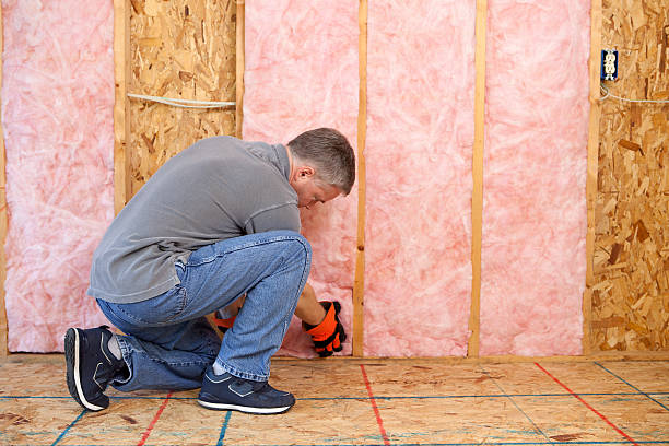 Best Geographic-Specific Insulation Services in Gatesville, TX