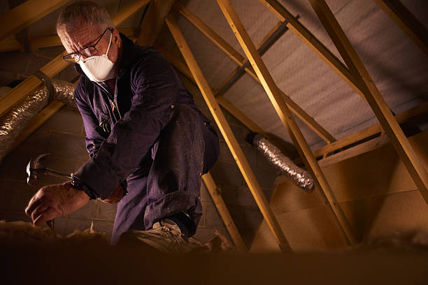 Best Eco-Friendly Insulation in Gatesville, TX