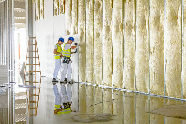 Best Specialized Insulation Services in Gatesville, TX